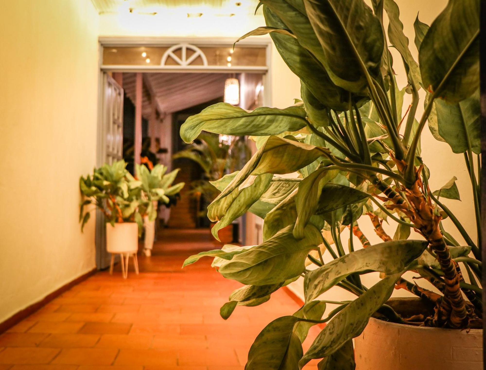 Aura Hotel Parque Barichara By Infinity Exterior photo